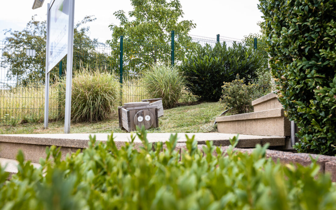Sortie ludique à Schifflange : balades en forêt et jeux sur la plaine pour stimuler la sociabilisation des enfants
