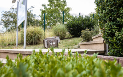 Sortie ludique à Schifflange : balades en forêt et jeux sur la plaine pour stimuler la sociabilisation des enfants